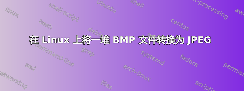 在 Linux 上将一堆 BMP 文件转换为 JPEG