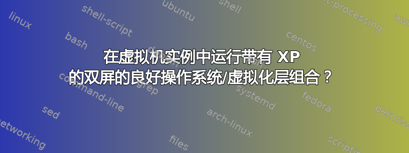 在虚拟机实例中运行带有 XP 的双屏的良好操作系统/虚拟化层组合？