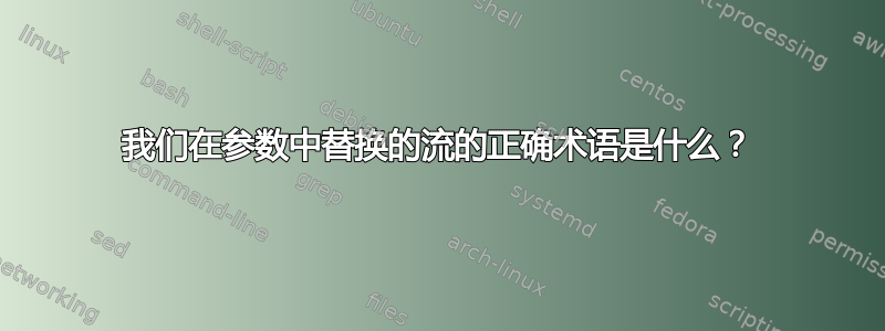 我们在参数中替换的流的正确术语是什么？