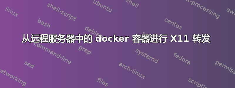 从远程服务器中的 docker 容器进行 X11 转发