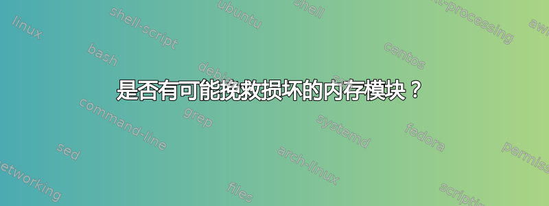 是否有可能挽救损坏的内存模块？