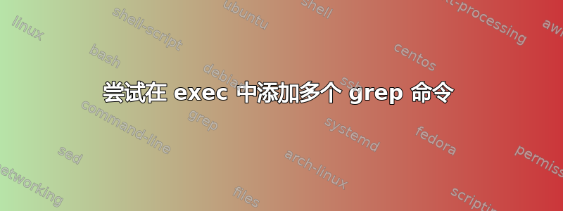 尝试在 exec 中添加多个 grep 命令