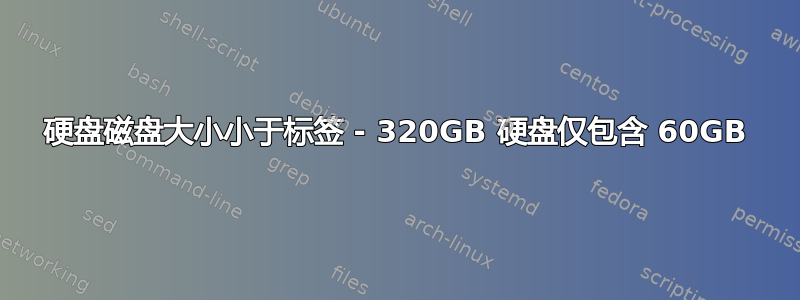 硬盘磁盘大小小于标签 - 320GB 硬盘仅包含 60GB