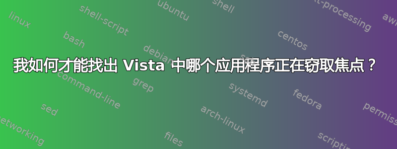 我如何才能找出 Vista 中哪个应用程序正在窃取焦点？