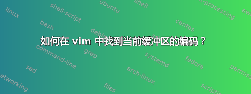 如何在 vim 中找到当前缓冲区的编码？