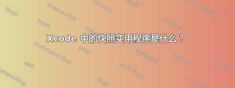 Xcode 中的快照实用程序是什么？