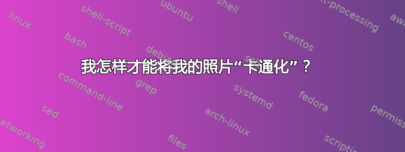 我怎样才能将我的照片“卡通化”？ 