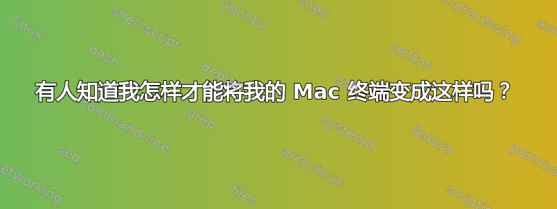 有人知道我怎样才能将我的 Mac 终端变成这样吗？