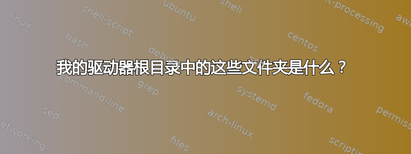 我的驱动器根目录中的这些文件夹是什么？