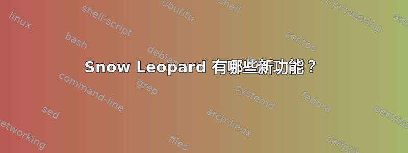 Snow Leopard 有哪些新功能？