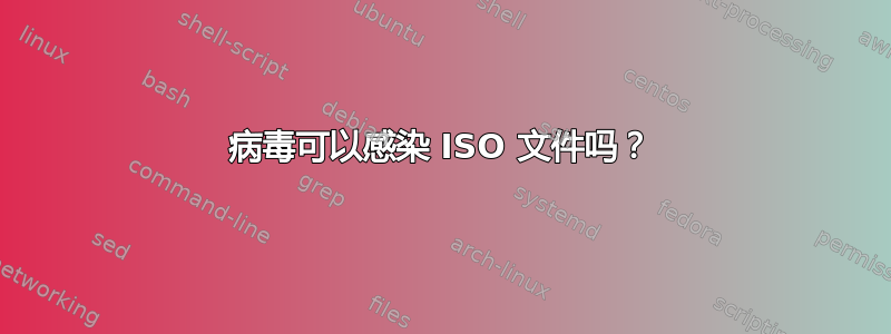 病毒可以感染 ISO 文件吗？