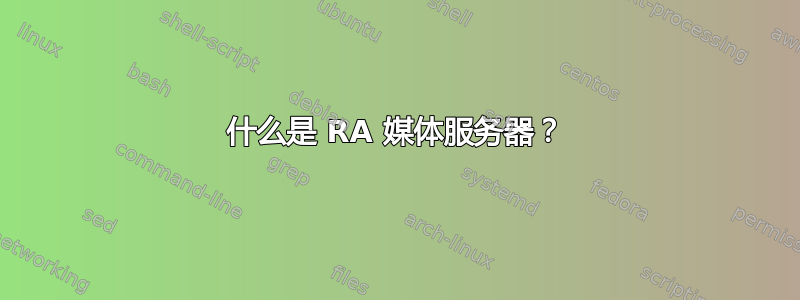 什么是 RA 媒体服务器？