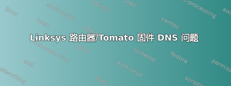 Linksys 路由器/Tomato 固件 DNS 问题