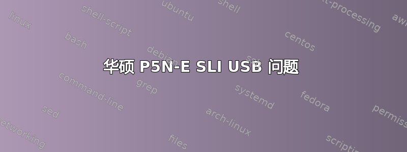 华硕 P5N-E SLI USB 问题