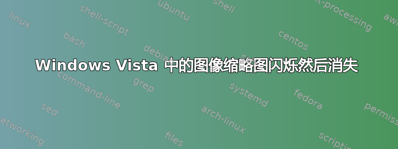 Windows Vista 中的图像缩略图闪烁然后消失