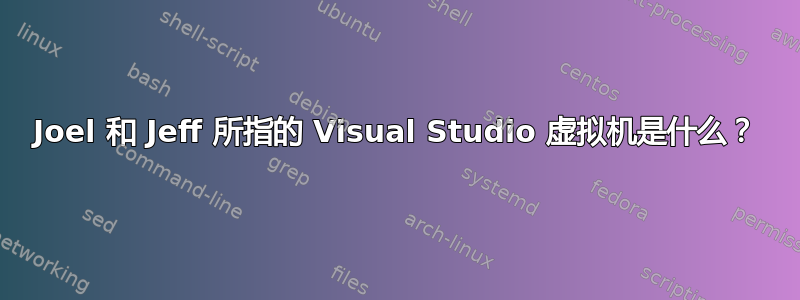 Joel 和 Jeff 所指的 Visual Studio 虚拟机是什么？