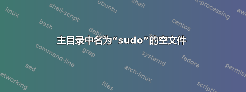 主目录中名为“sudo”的空文件