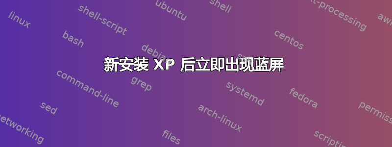 新安装 XP 后立即出现蓝屏