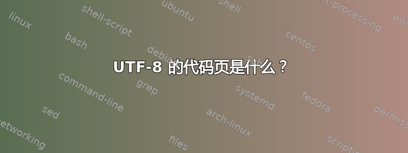 UTF-8 的代码页是什么？