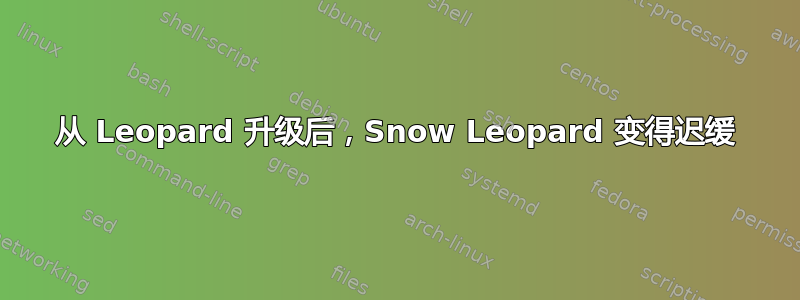 从 Leopard 升级后，Snow Leopard 变得迟缓