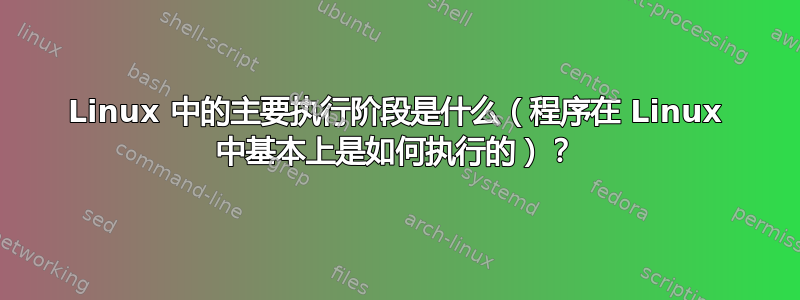 Linux 中的主要执行阶段是什么（程序在 Linux 中基本上是如何执行的）？