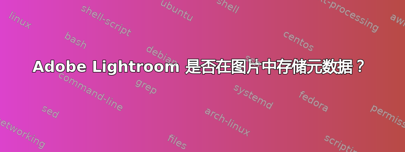 Adobe Lightroom 是否在图片中存储元数据？