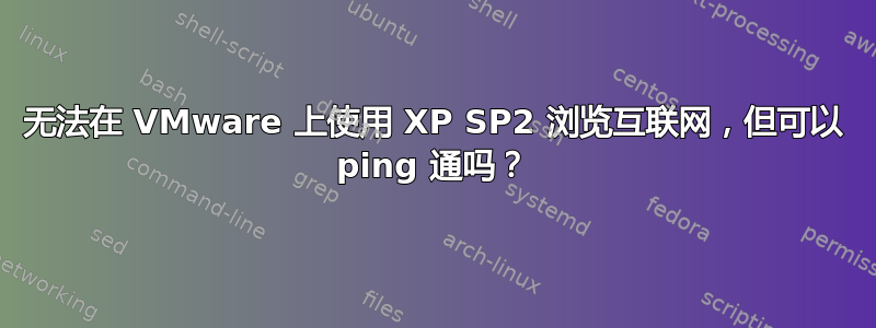 无法在 VMware 上使用 XP SP2 浏览互联网，但可以 ping 通吗？