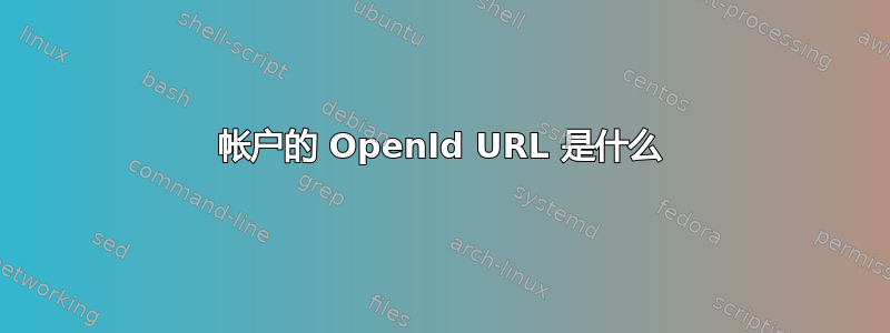 帐户的 OpenId URL 是什么