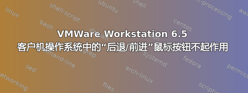 VMWare Workstation 6.5 客户机操作系统中的“后退/前进”鼠标按钮不起作用