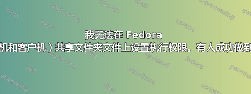 我无法在 Fedora 11（主机和客户机）共享文件夹文件上设置执行权限。有人成功做到了吗？