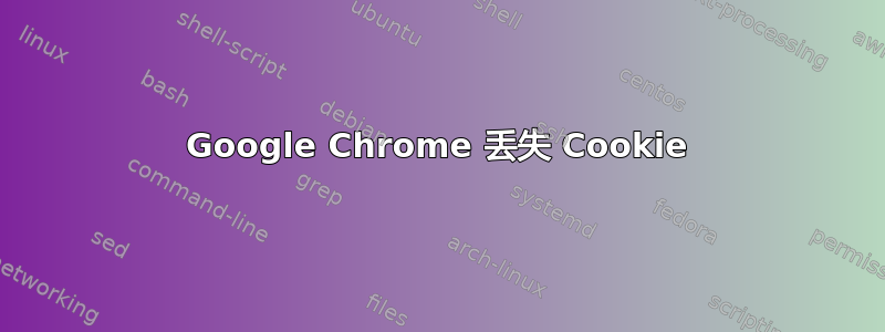 Google Chrome 丢失 Cookie