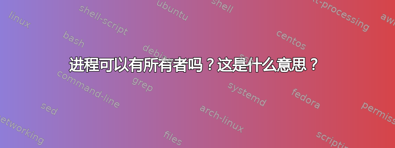 进程可以有所有者吗？这是什么意思？