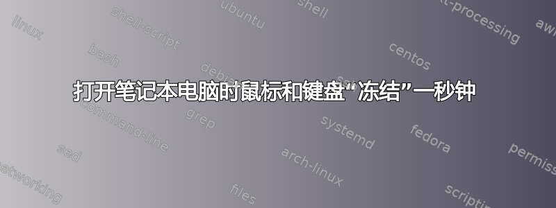 打开笔记本电脑时鼠标和键盘“冻结”一秒钟