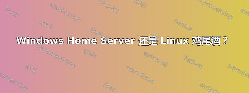 Windows Home Server 还是 Linux 鸡尾酒？