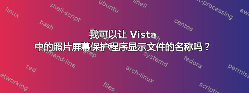 我可以让 Vista 中的照片屏幕保护程序显示文件的名称吗？