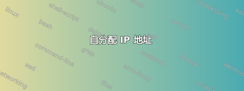 自分配 IP 地址