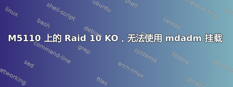 M5110 上的 Raid 10 KO，无法使用 mdadm 挂载