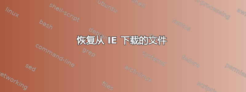 恢复从 IE 下载的文件