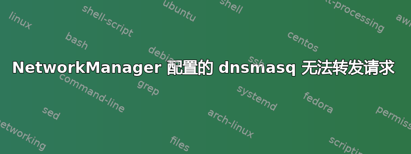 NetworkManager 配置的 dnsmasq 无法转发请求