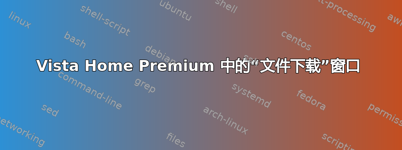 Vista Home Premium 中的“文件下载”窗口