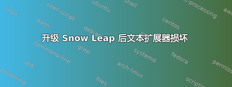 升级 Snow Leap 后文本扩展器损坏