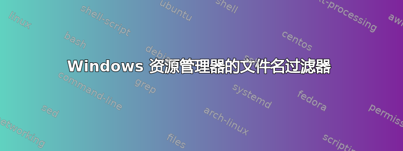 Windows 资源管理器的文件名过滤器