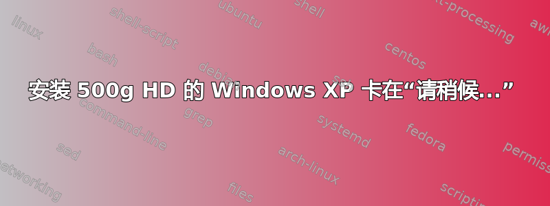 安装 500g HD 的 Windows XP 卡在“请稍候...”