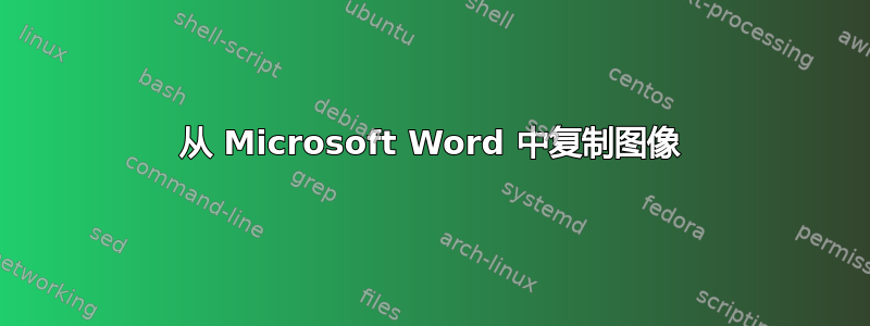 从 Microsoft Word 中复制图像