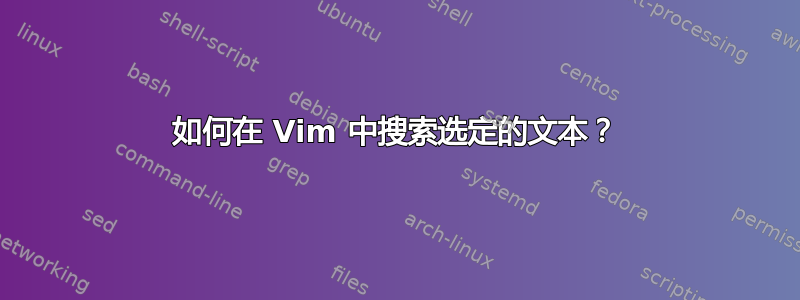 如何在 Vim 中搜索选定的文本？