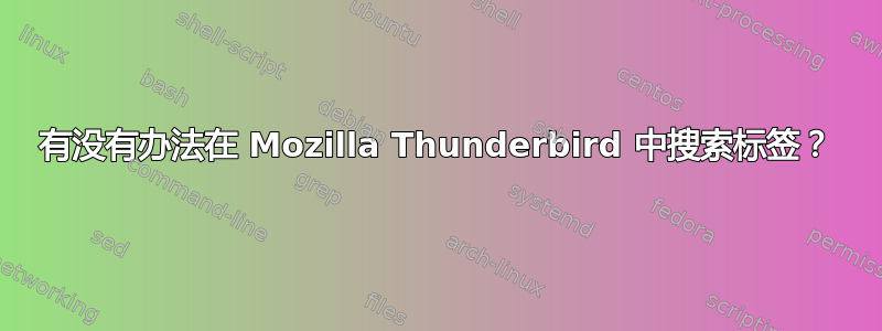 有没有办法在 Mozilla Thunderbird 中搜索标签？