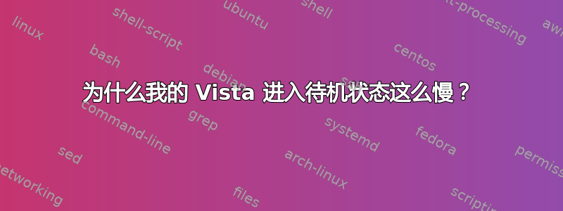 为什么我的 Vista 进入待机状态这么慢？