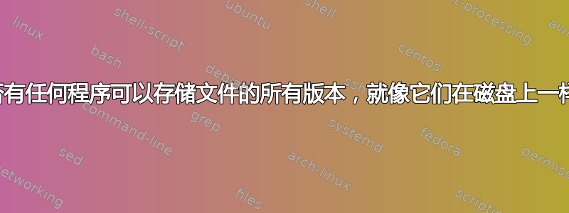 是否有任何程序可以存储文件的所有版本，就像它们在磁盘上一样？