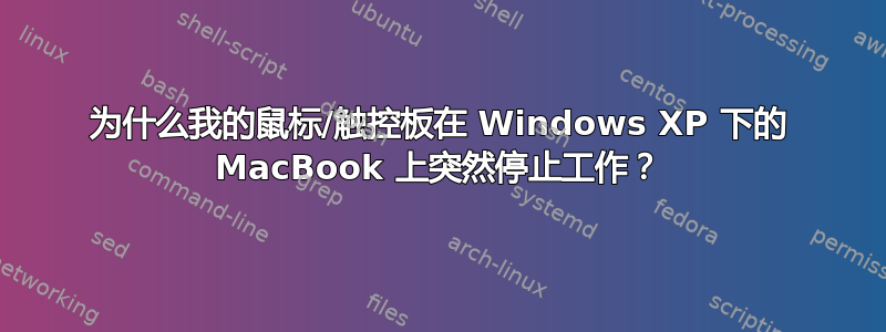 为什么我的鼠标/触控板在 Windows XP 下的 MacBook 上突然停止工作？