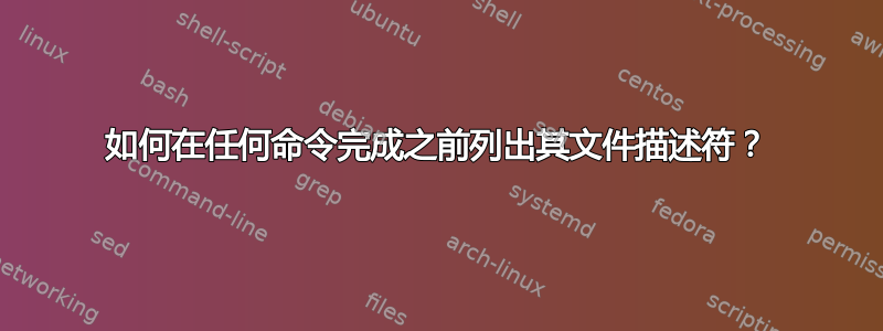 如何在任何命令完成之前列出其文件描述符？